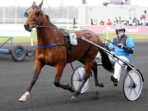 Timoko